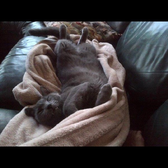 Meet your Posher, Nida - Picture 1 of 1